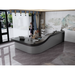 Lada recepcyjna R214 300x180cm  Art_21401