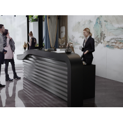 Lada recepcyjna R213 250x120cm  Art_21301