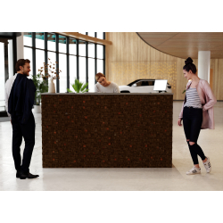 Lada Recepcyjna R268 180x60cm Art_R268_4