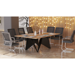 Stół konferencyjny 200x120cm Tulipan T10a na 10 osób