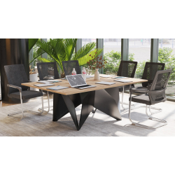 Stół konferencyjny 200x120cm Tulipan T10a na 10 osób